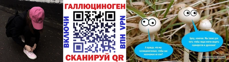 Галлюциногенные грибы Magic Shrooms  Тейково 